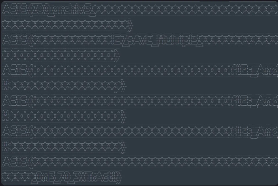 zone_of_order flag 字符画